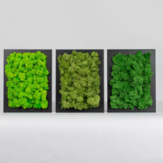 Set 3 zelených obrazů - 18x13 cm - černý rám