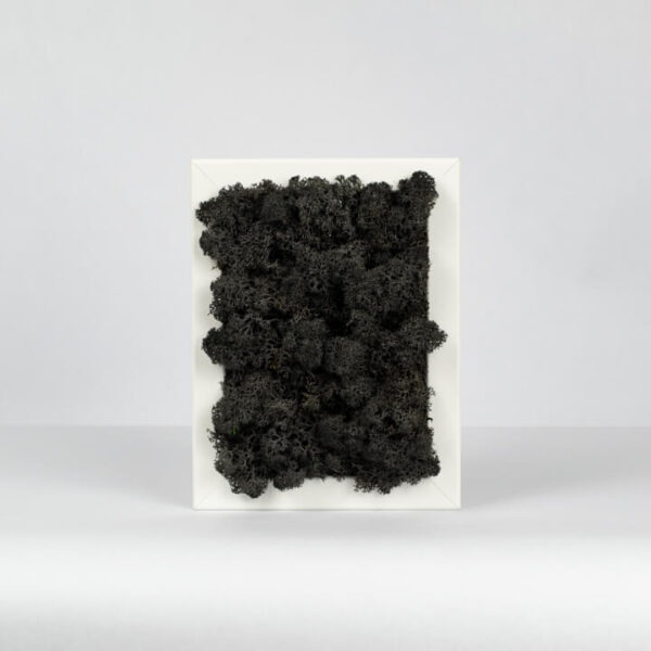Mechový obraz - černý - 18x13 cm - bílý rám