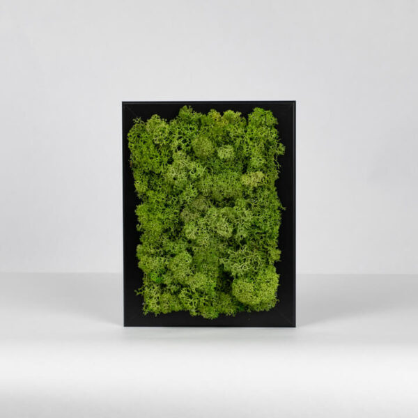 Mechový obraz - středně zelený - 18x13 cm - černý rám