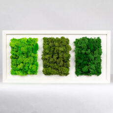 Mechový trojobraz - 3 zelené - 49x22 cm - bílý rám