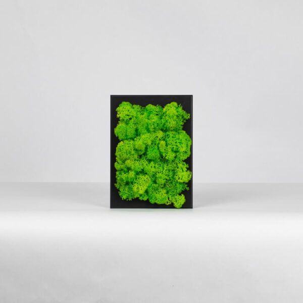 Mechový miniobraz - světle zelený - 15x10 cm - černý rám