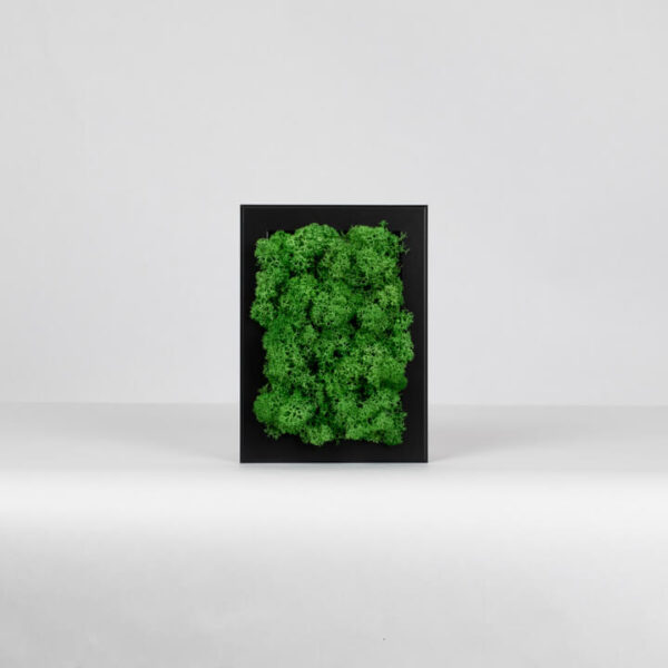 Mechový miniobraz - lesně zelený - 15x10 cm - černý rám