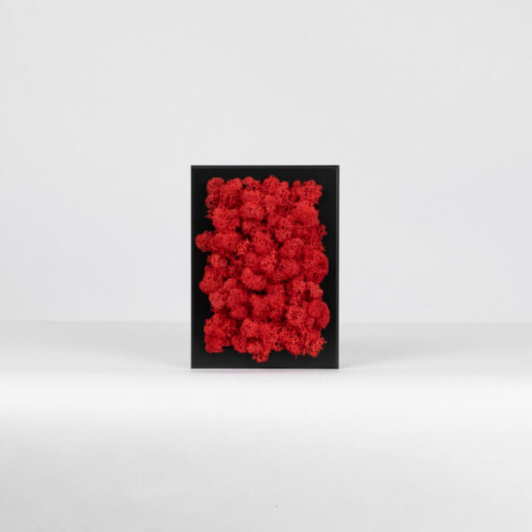 Mechový miniobraz - červený - 15x10 cm - černý rám