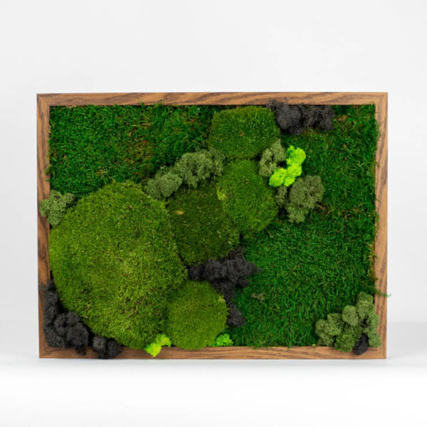 Mechový obraz - Sherwoodský les - 40x30 cm