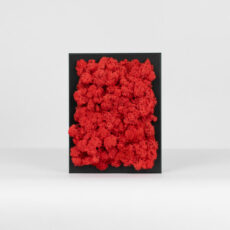 Mechový obraz - červený - 18x13 cm - černý rám