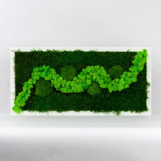 Mechový obraz - zelený háječek - 49x22 cm - bílý rám