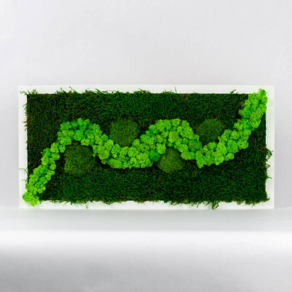 Mechový obraz - zelený háječek - 49x22 cm - bílý rám
