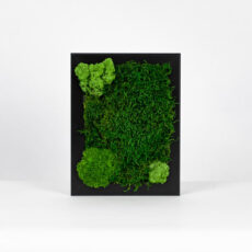 Mechový obraz - ztracené údolí - 18x13 cm - černý rám