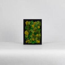Mechový miniobraz - podzimní les - 15x10 cm - černý rám