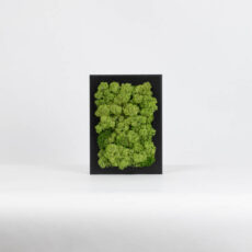 Mechový miniobraz - středně zelený - 15x10 cm - černý rám
