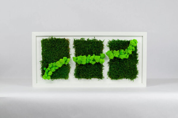 Mechový trojobraz - zelená vlna - 49x22 cm - bílý rám
