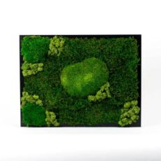 Mechovy obraz – ztracene udoli – 40×30 cm cerny ram