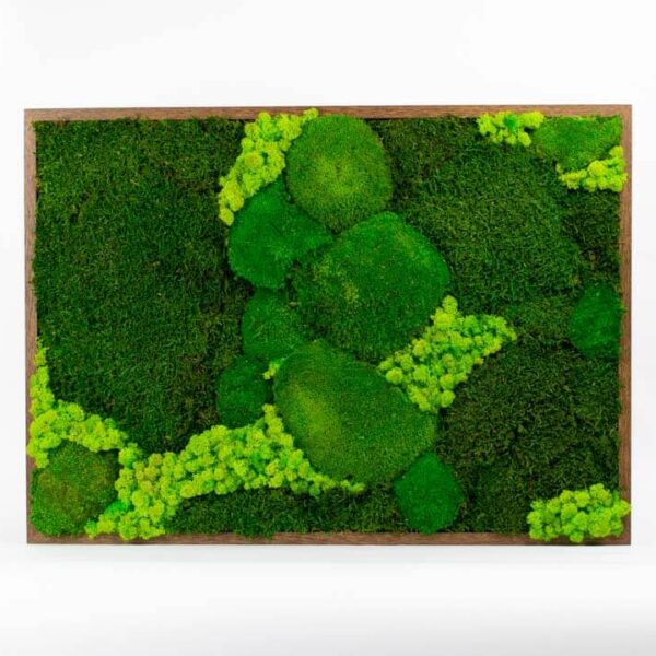 norsky paloucek 50x70 1