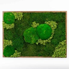 ztracene udoli 50x70 1