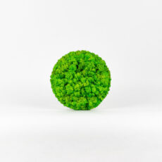 Mechovy obraz – svetle zeleny – kruh 20 cm