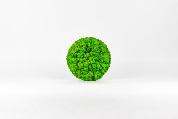 Mechovy obraz – svetle zeleny – kruh 20 cm