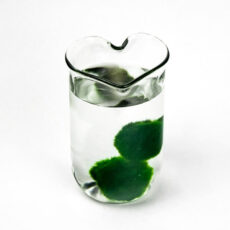 upcyklovana doza srdicko rasokoule set