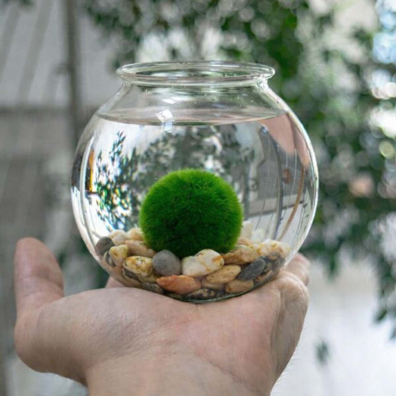 rasokoule mala koule s kaminkama 1280x720 web